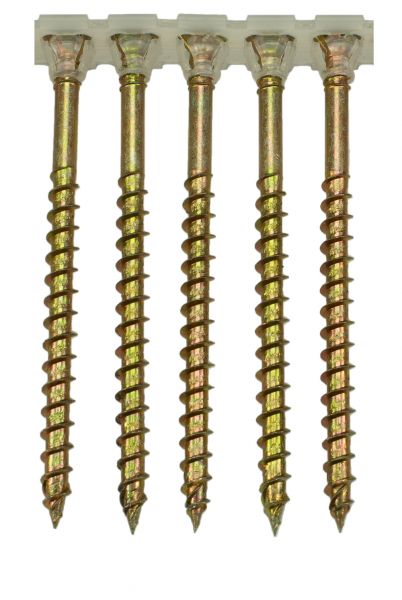 5.0 x 65mm magazinierte Holzbauschraube, gelb verzinkt, Torx25, 1.000 Stück
